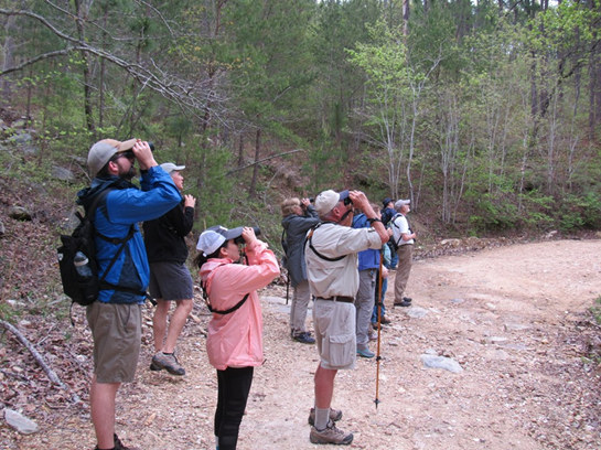 Appalachian Highlands Birding Trail